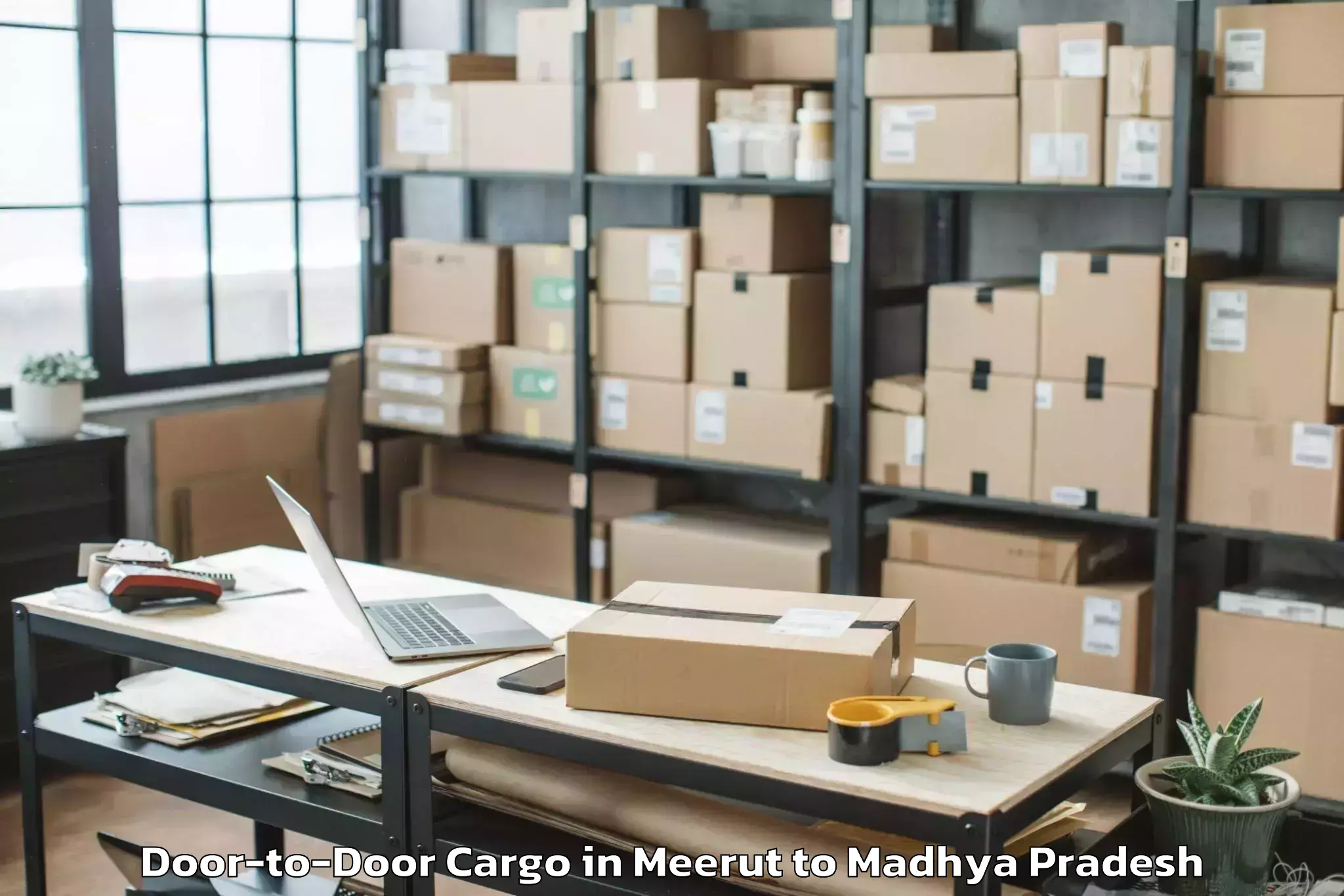 Trusted Meerut to Mungaoli Door To Door Cargo